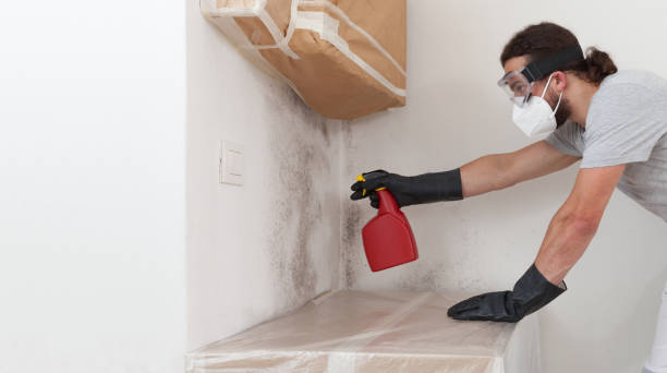 Professional Bathroom Mold Removal technician working in Central Lake, MI