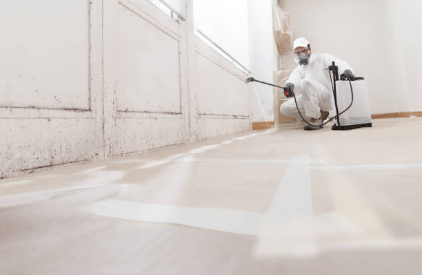 24/7 Emergency Bathroom Mold Removal experts in Central Lake, MI