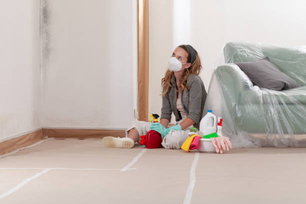 Reliable Bathroom Mold Removal contractor in Central Lake, MI by Mold Remediation HQ
